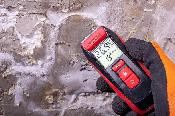 Best Mold Testing and Inspection Services in Mccom, OH